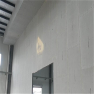 永福宁波ALC板|EPS加气板隔墙与混凝土整浇联接的实验研讨